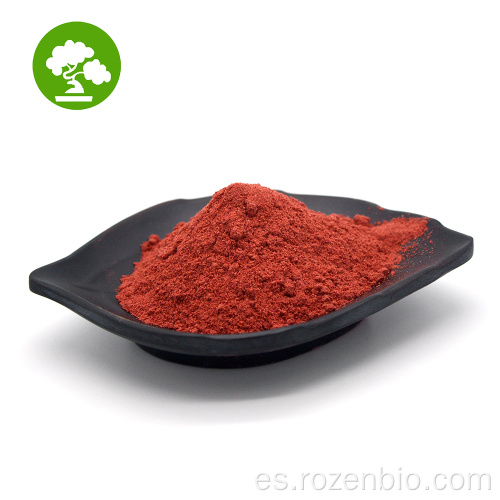 Extracto de tomate orgánico maduro natural 1-96% Lycopene Powder